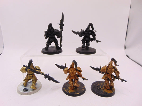 Custodian Guard