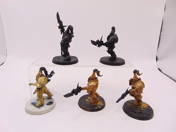 Custodian Guard
