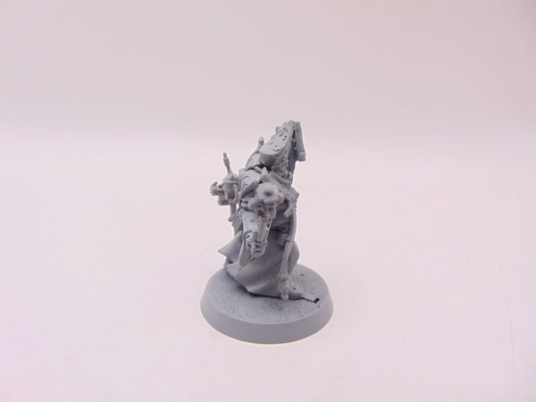 Ministorum Priest Taddeus the Purifier