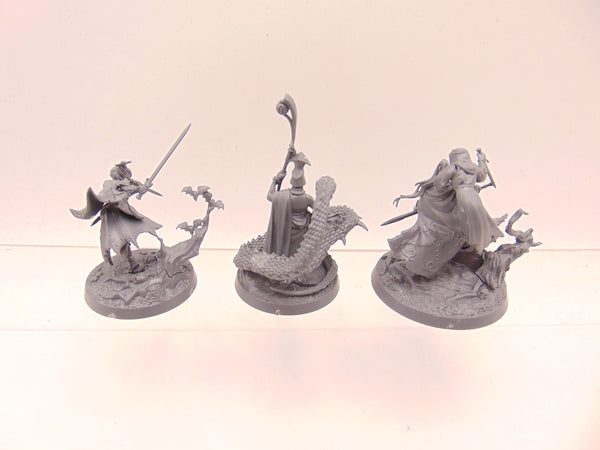 Blades of the Hollow King