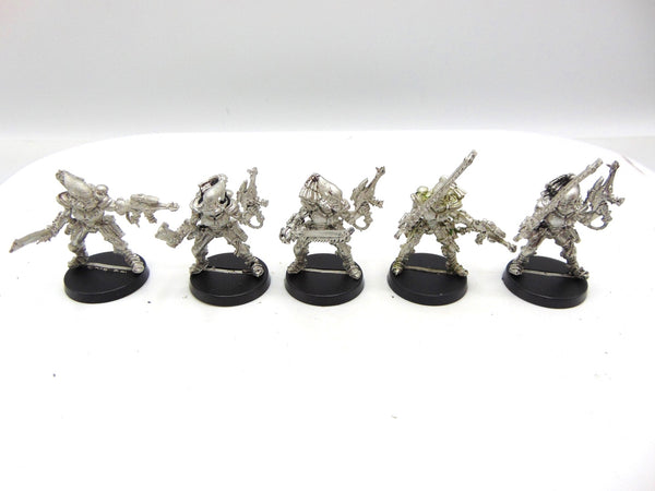 Striking Scorpions