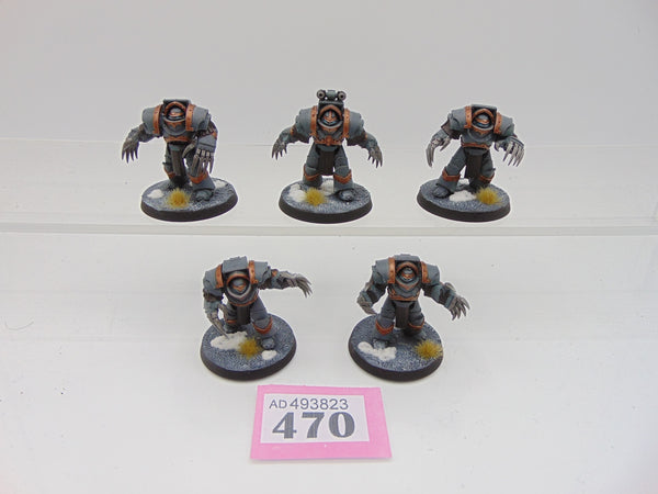 Cataphractii Terminator Squad