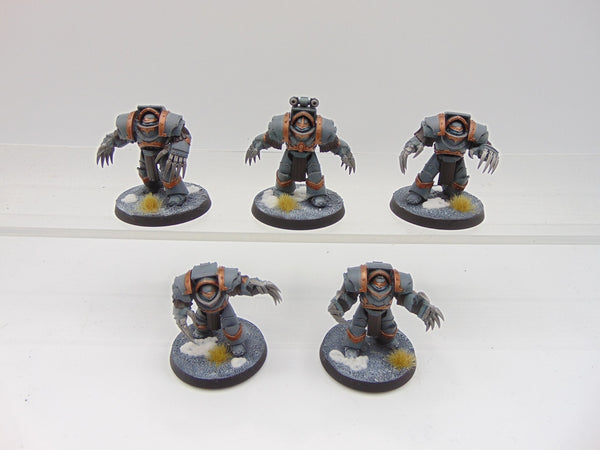 Cataphractii Terminator Squad