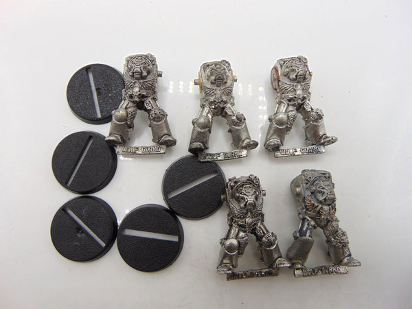Wolf Guard Terminator Torsos