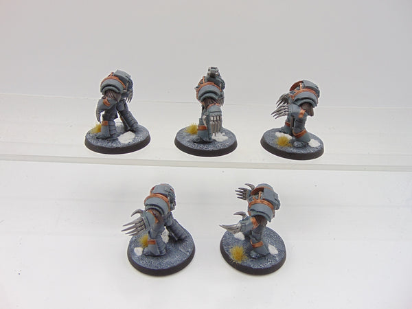 Cataphractii Terminator Squad