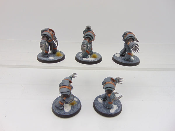 Cataphractii Terminator Squad