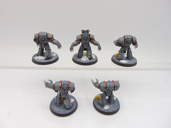 Cataphractii Terminator Squad