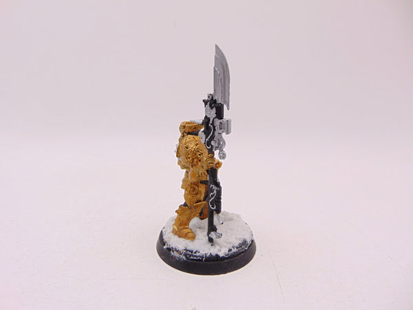Shield Captain Valerian