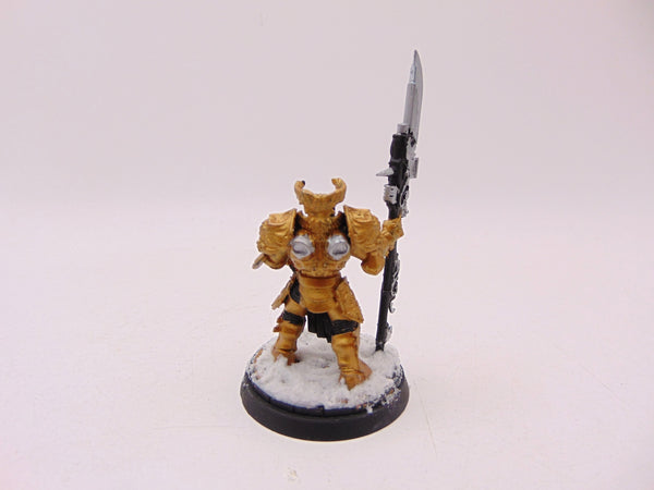 Shield Captain Valerian