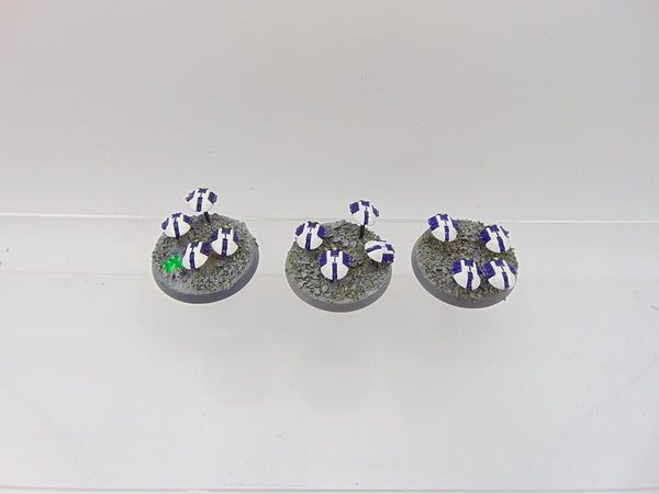 Canoptek Scarab Swarm