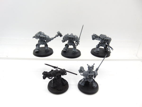 Brotherhood Terminator Squad