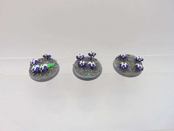 Canoptek Scarab Swarm