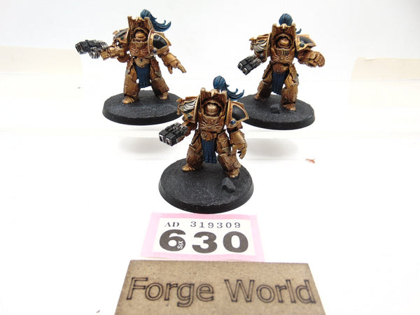 Legio Custodes Aquilon Terminators