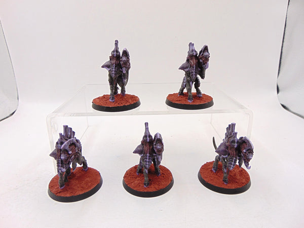 Barbgaunts
