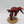 Tau Commander in Coldstar Battlesuit