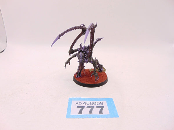 Lictor