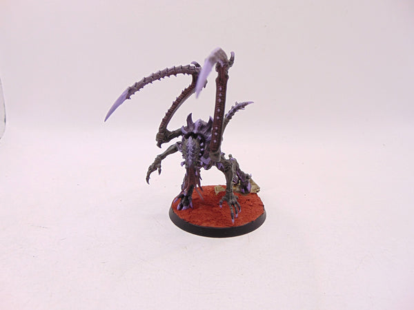Lictor