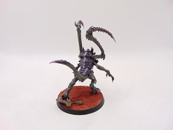 Lictor