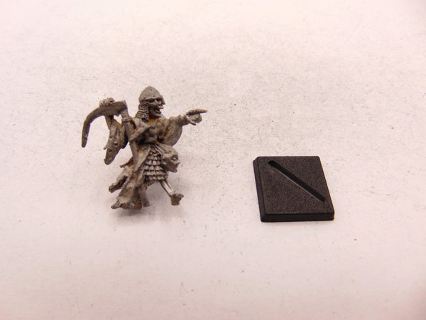 C17 Skeleton Command Group Helmeted Leader