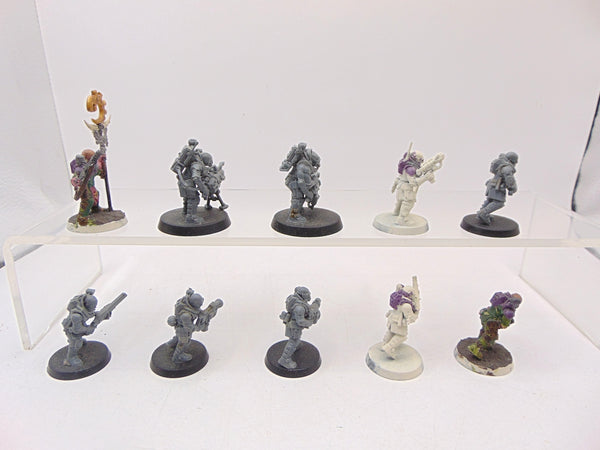 Neophyte Hybrids