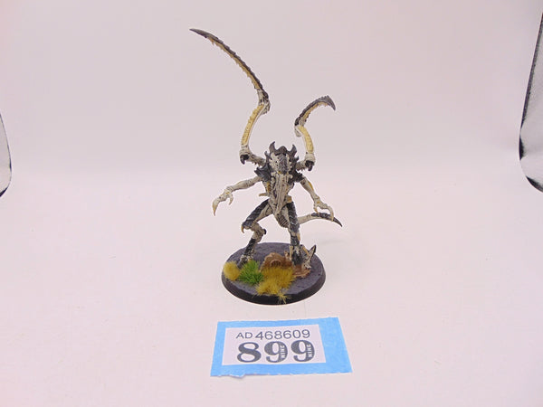 Lictor