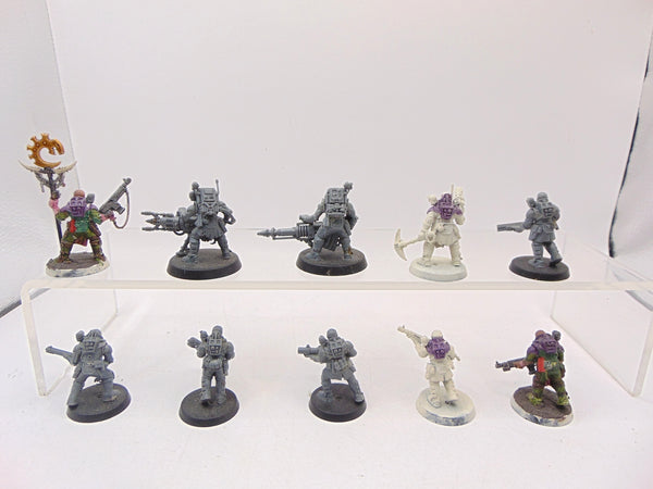Neophyte Hybrids