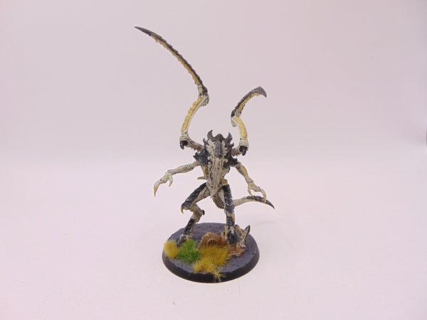 Lictor