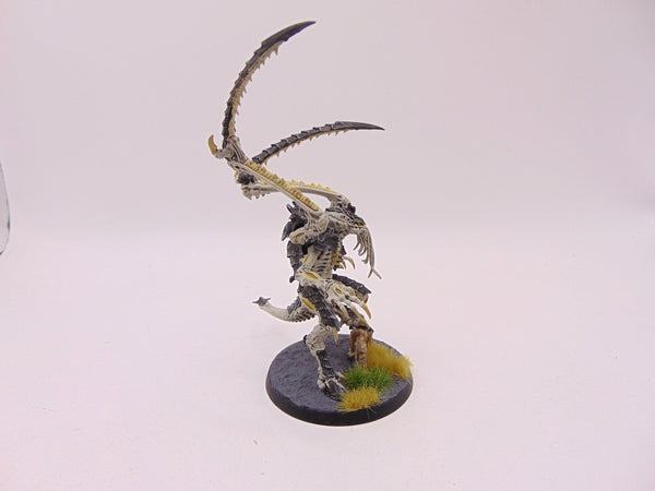 Lictor