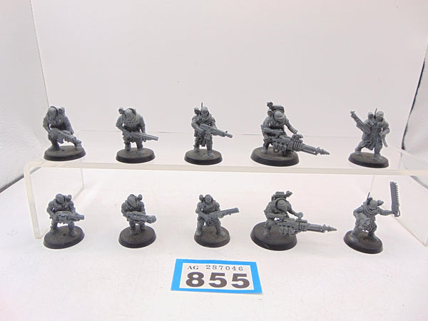 Neophyte Hybrids