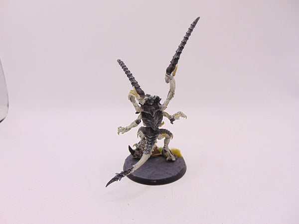 Lictor