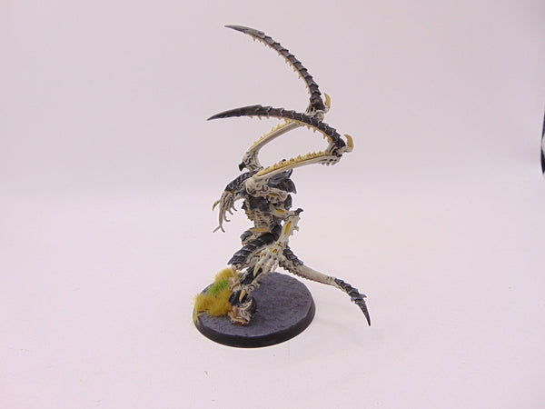 Lictor