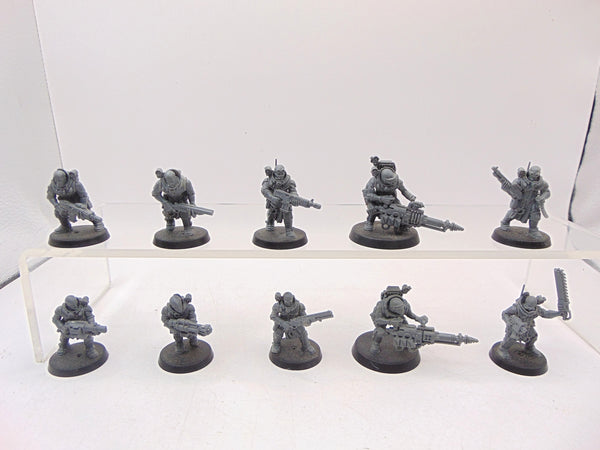Neophyte Hybrids
