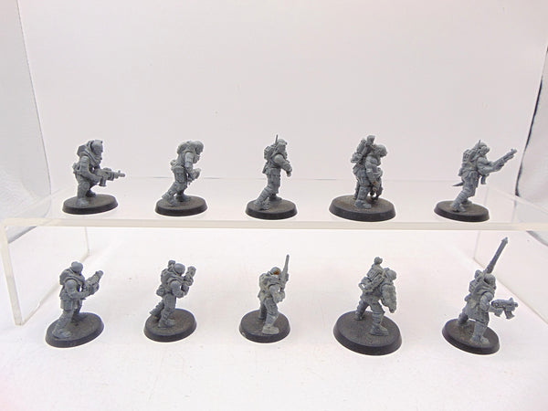 Neophyte Hybrids