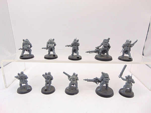 Neophyte Hybrids
