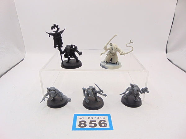 Acolyte Hybrids