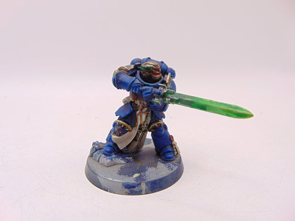 Primaris Company Champion