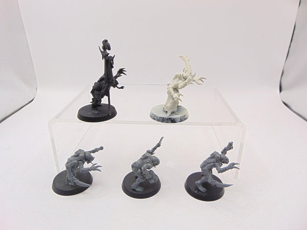 Acolyte Hybrids
