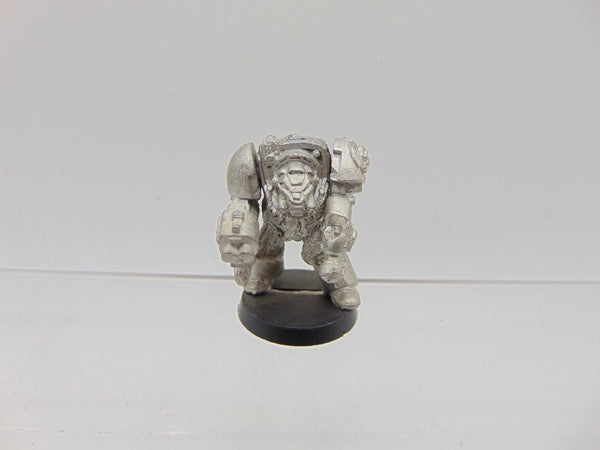 Wolf Guard Terminator