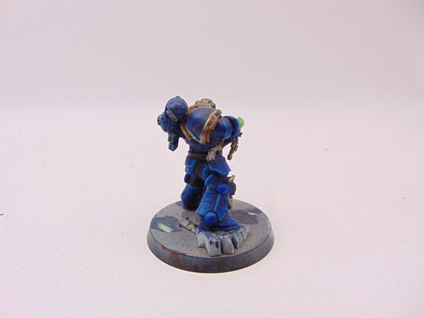 Primaris Company Champion