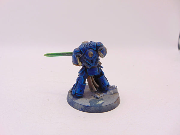 Primaris Company Champion