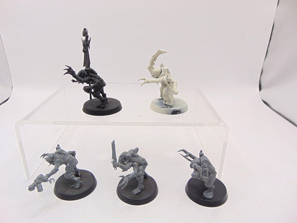 Acolyte Hybrids
