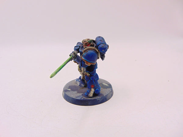 Primaris Company Champion