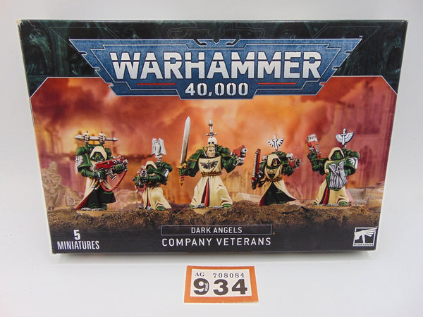 Dark Angels Company Veterans / Fallen