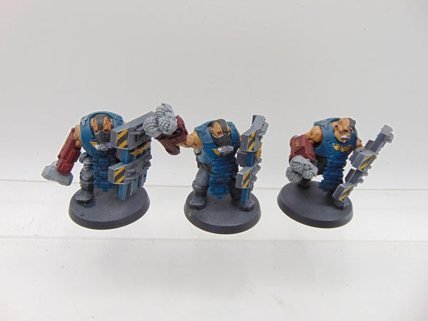 Bullgryns