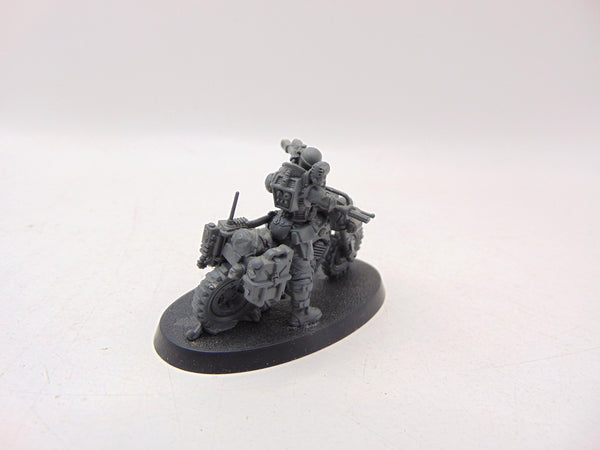 Jackal Alphus