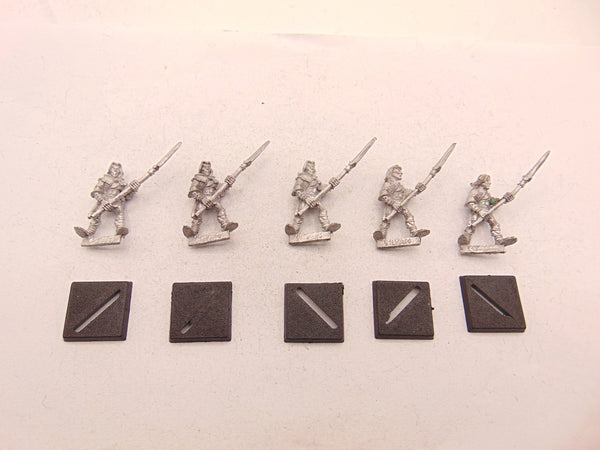 Wood Elf Warriors with Spear / Glade Guard