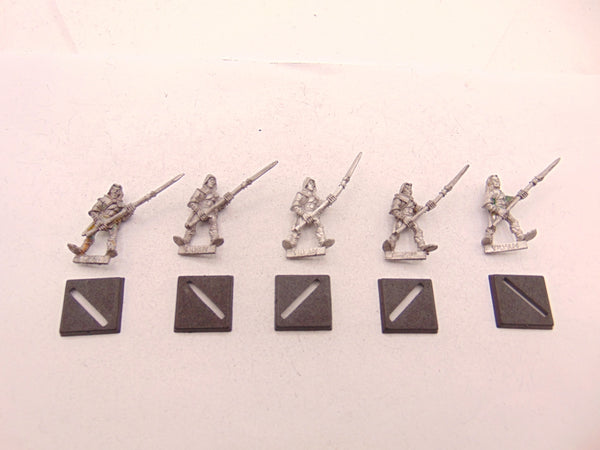 Wood Elf Warriors with Spear / Glade Guard