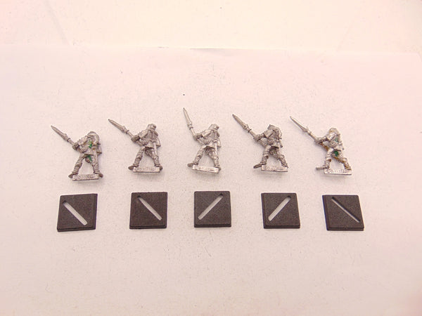 Wood Elf Warriors with Spear / Glade Guard