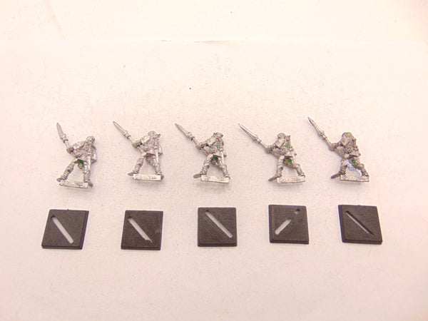 Wood Elf Warriors with Spear / Glade Guard