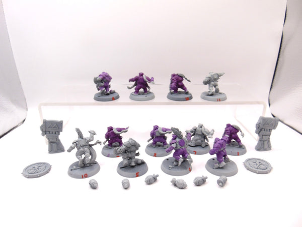 Dwarf Team The Dwarf Giants